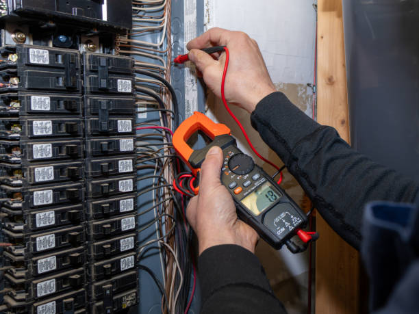 Best Electric Panel Repair  in Skyline Acres, OH